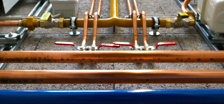 lemako zdjęcia (400 x 300 px) (1000 x 1000 px) (3)